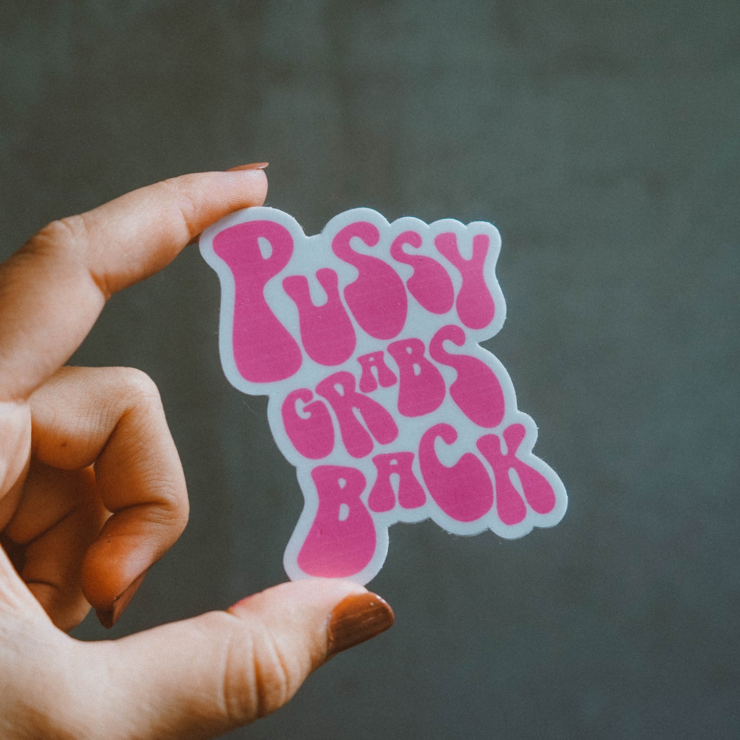 Pussy Grabs Back Sticker