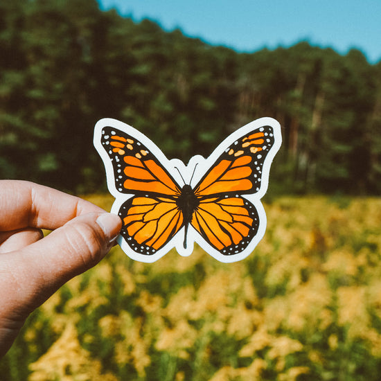 Load image into Gallery viewer, Monarch Sticker